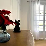 Petit Du Nougues